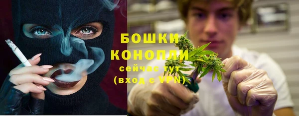 ГАЛЛЮЦИНОГЕННЫЕ ГРИБЫ Горно-Алтайск
