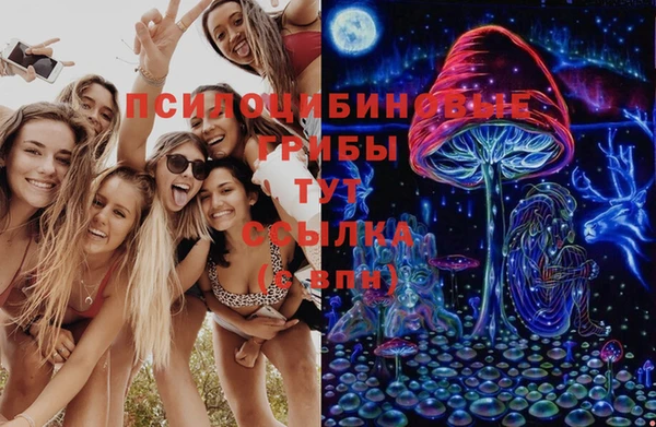 герыч Вязьма