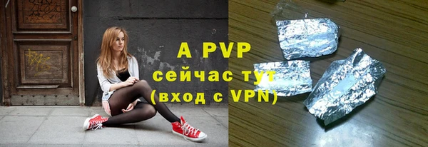 ГАЛЛЮЦИНОГЕННЫЕ ГРИБЫ Горно-Алтайск