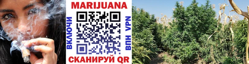 где найти наркотики kraken маркетплейс Бошки марихуана SATIVA & INDICA Ермолино